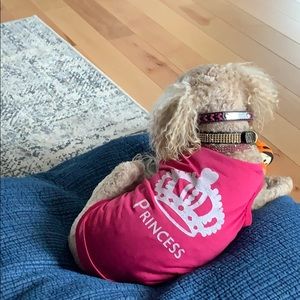 Meet your Posher, Eve